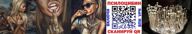 Псилоцибиновые грибы MAGIC MUSHROOMS  Купить закладки  Острогожск 