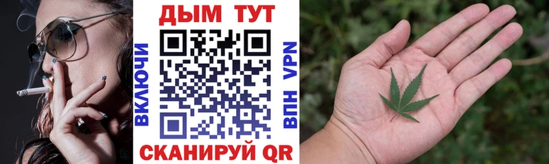 Бошки марихуана сатива  Купить где  Острогожск 
